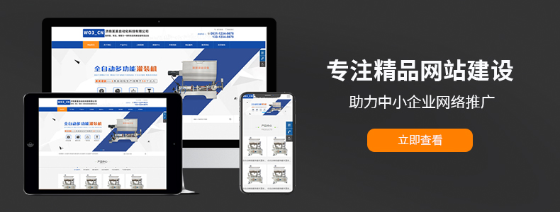 精品网站建设